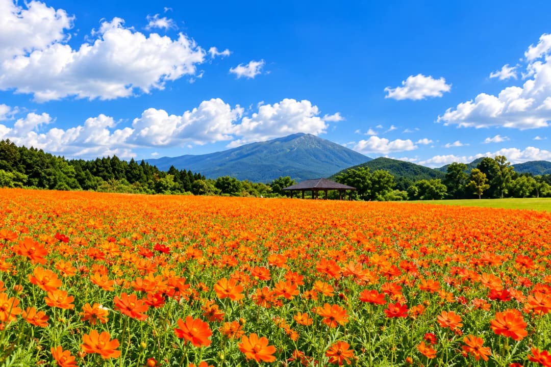 県立御所湖広域公園