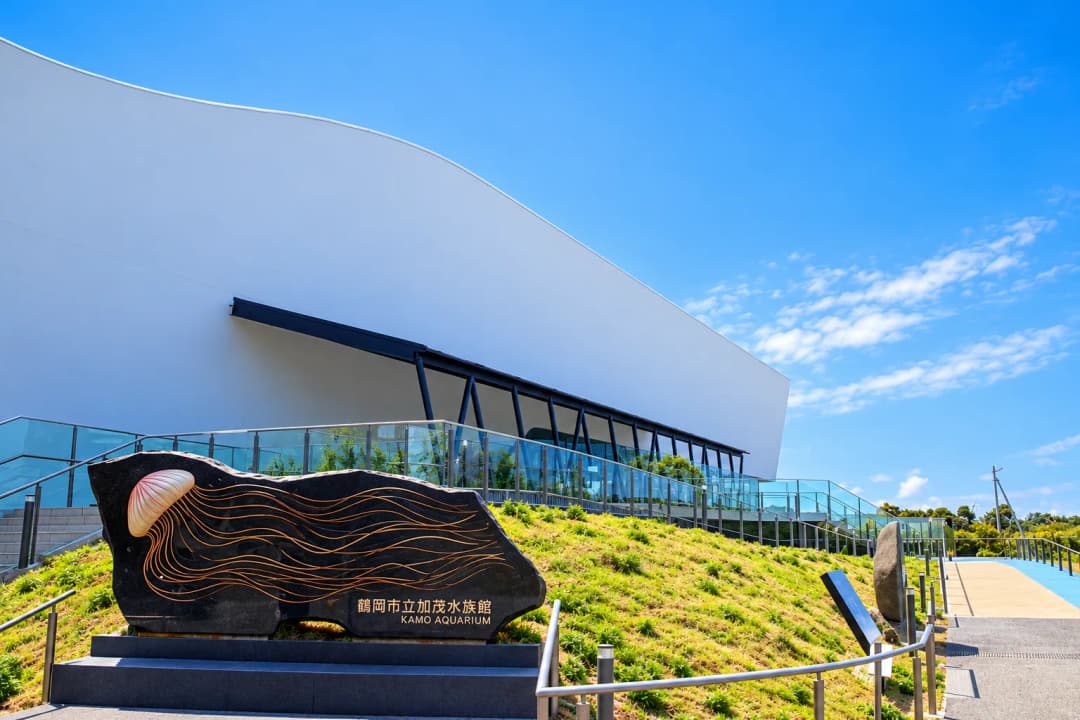 加茂水族館