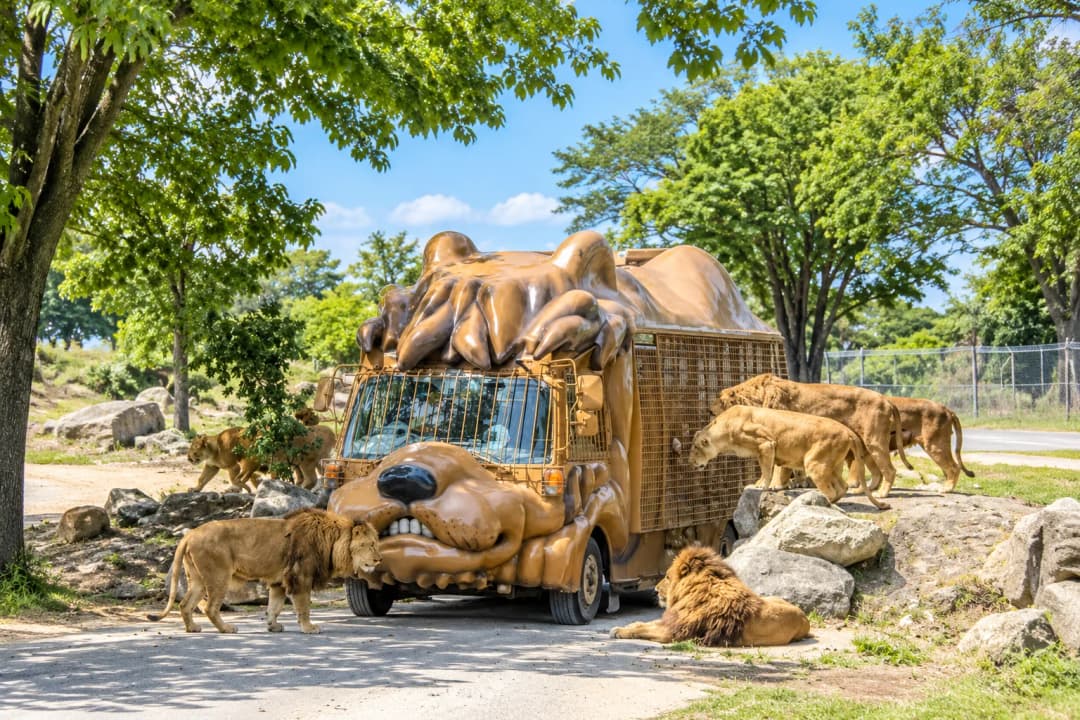 九州自然動物公園アフリカンサファリ