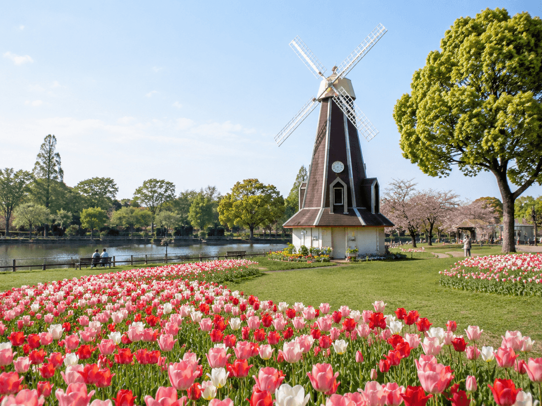 浮間公園