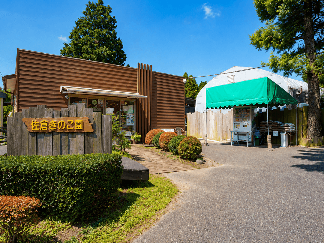 佐倉きのこ園