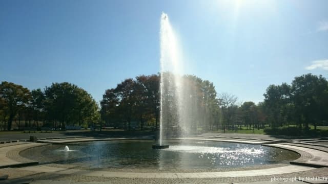 舎人公園じゃぶじゃぶ池「浮球の池」