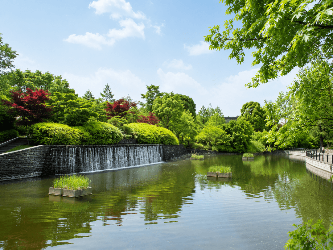 武蔵国分寺公園