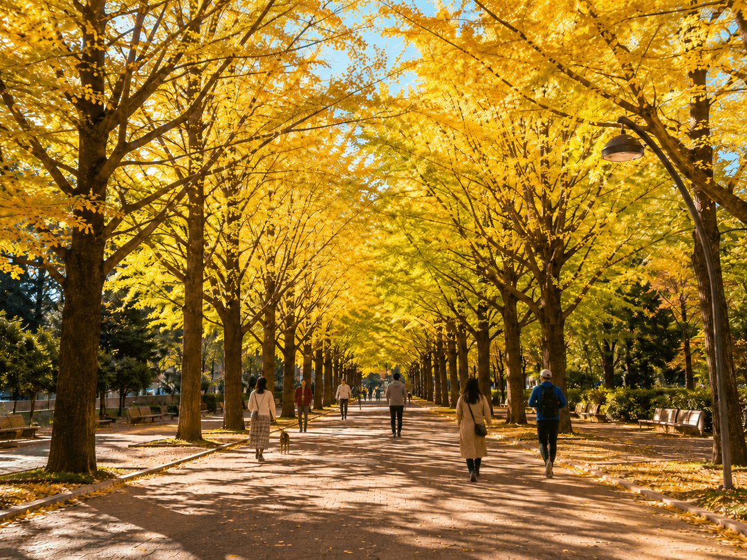 光が丘公園