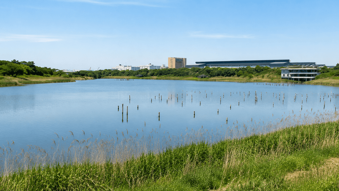 東京港野鳥公園
