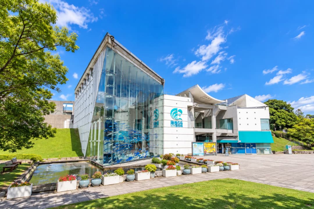 九十九島水族館海きらら