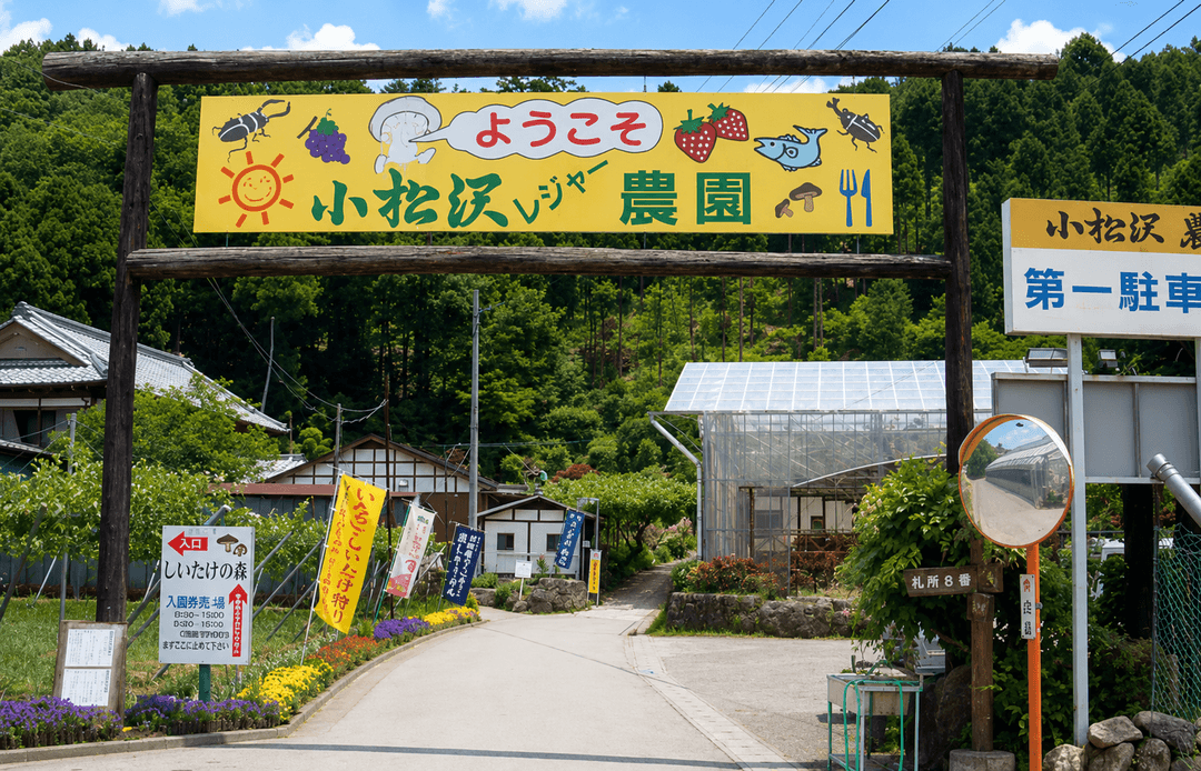 小松沢レジャー農園