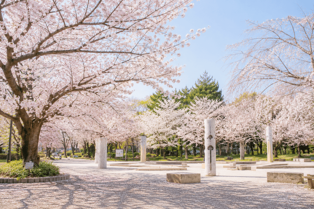 武蔵野公園