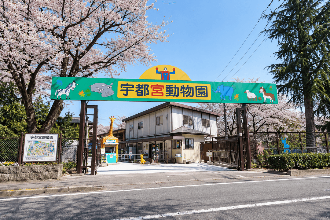 宇都宮動物園