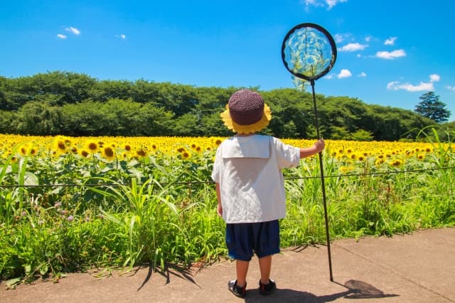 幼稚園児と行ける東京の自然スポット10選(芝生・ピクニック・虫取り)
