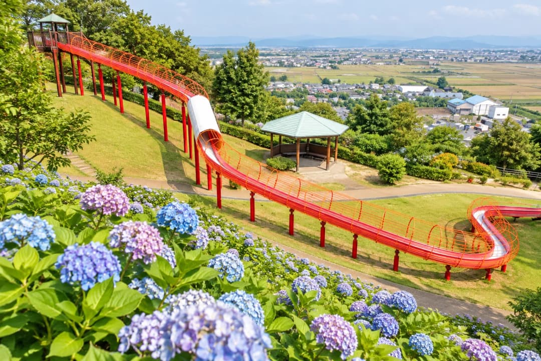 竜北公園