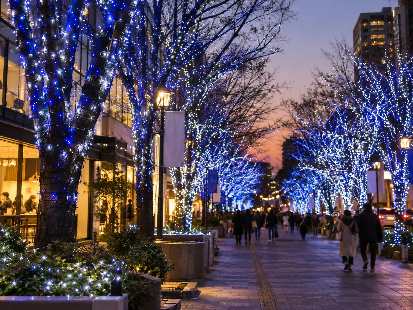 第13回 KOIWAI Winter Lights 銀河農場の夜