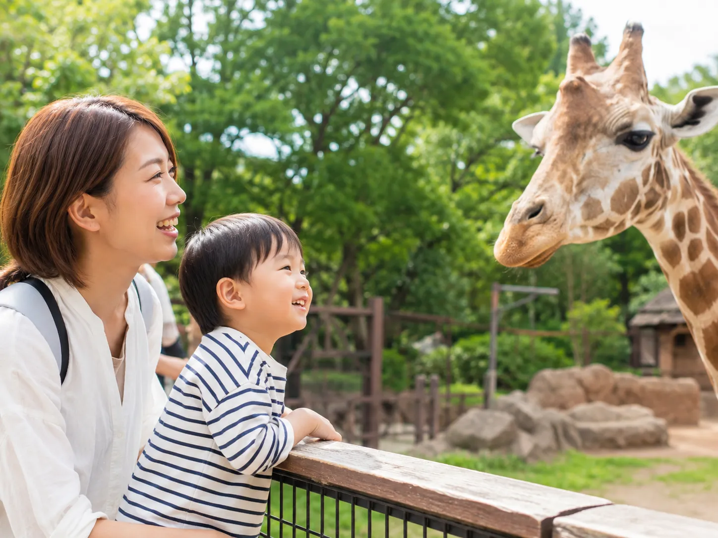 九州自然動物公園アフリカンサファリ
